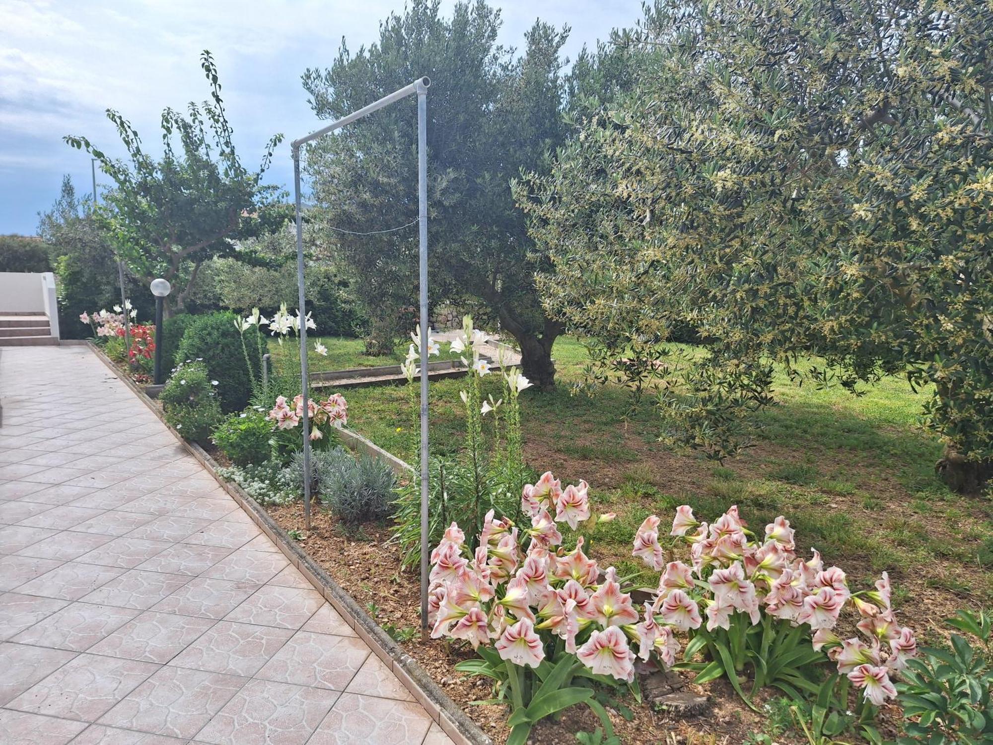 Apartments Donadic I, Caska Novalja Exterior foto